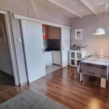 Apartment Sant Francesc 奥洛特 外观 照片