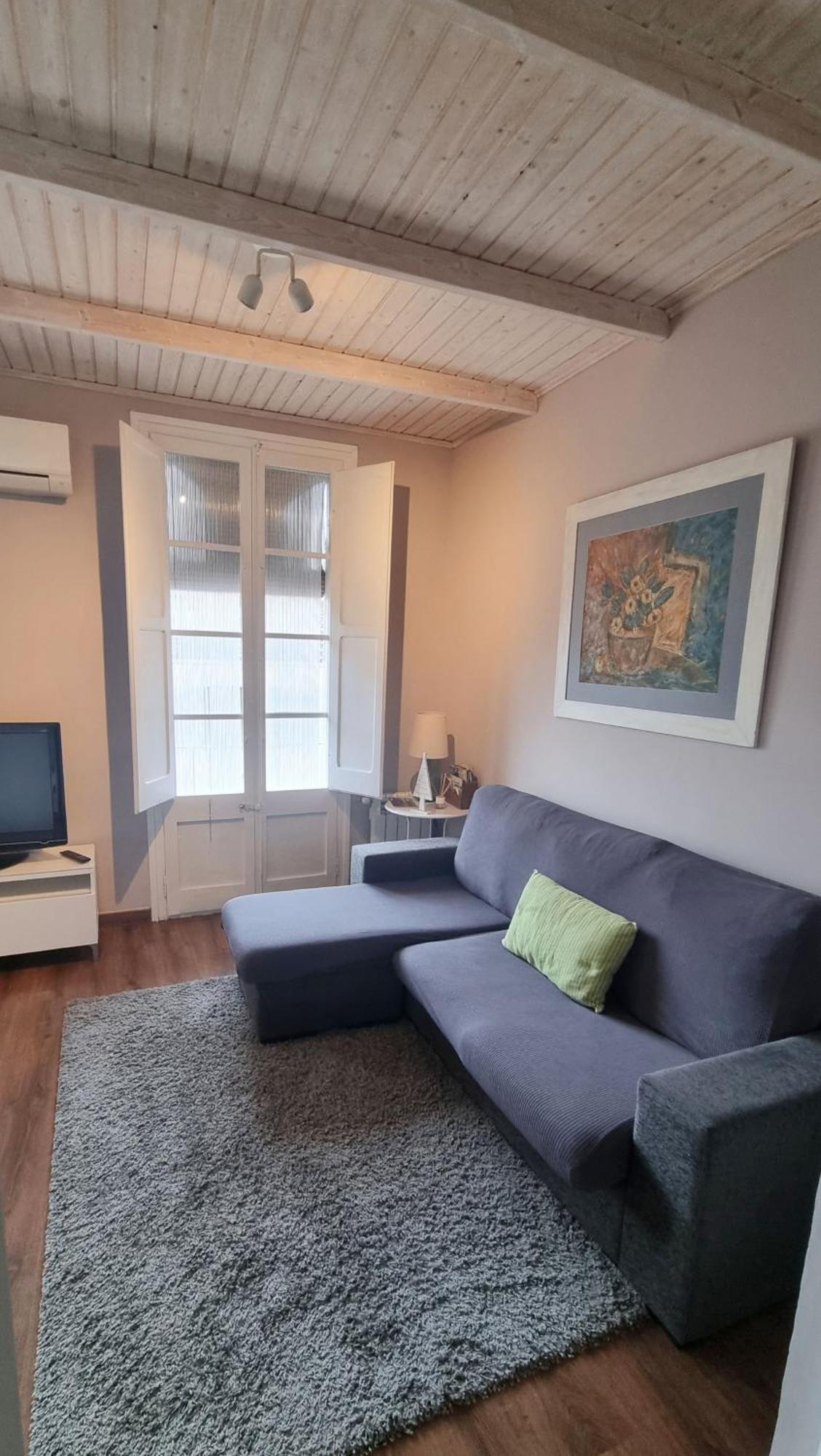 Apartment Sant Francesc 奥洛特 外观 照片