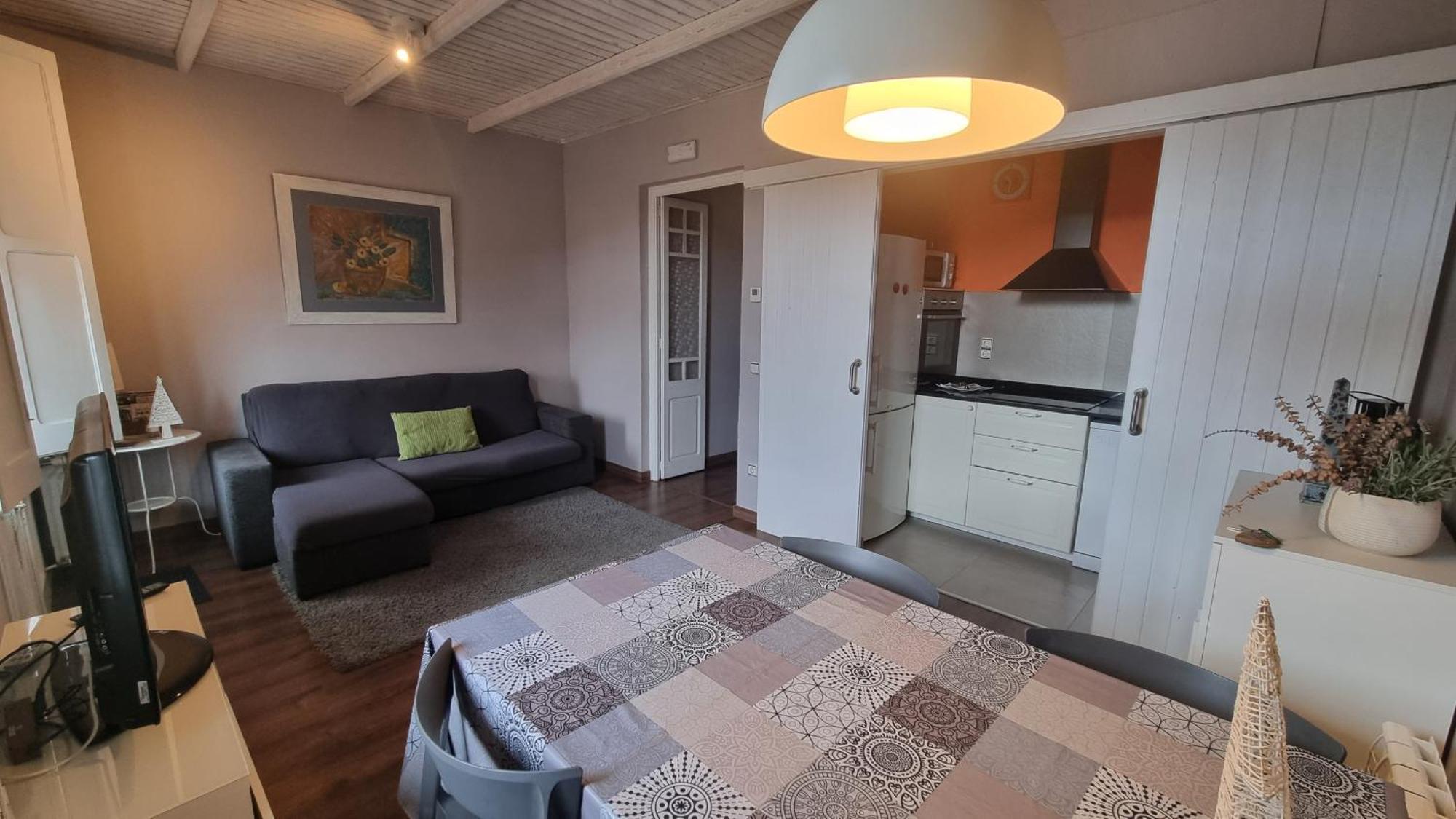 Apartment Sant Francesc 奥洛特 外观 照片