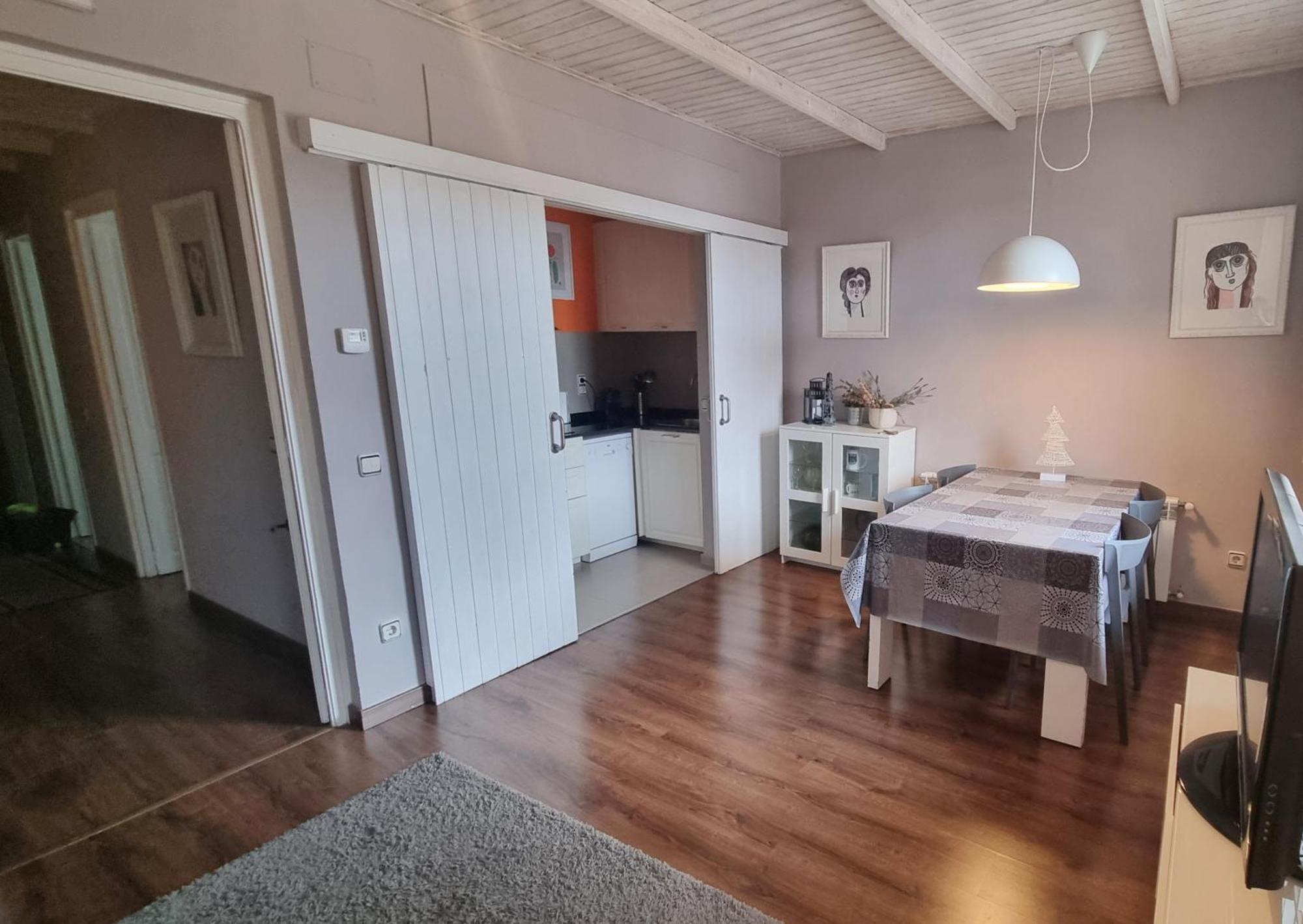 Apartment Sant Francesc 奥洛特 外观 照片