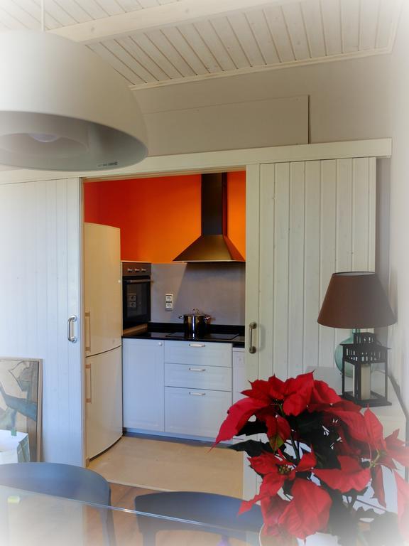 Apartment Sant Francesc 奥洛特 外观 照片