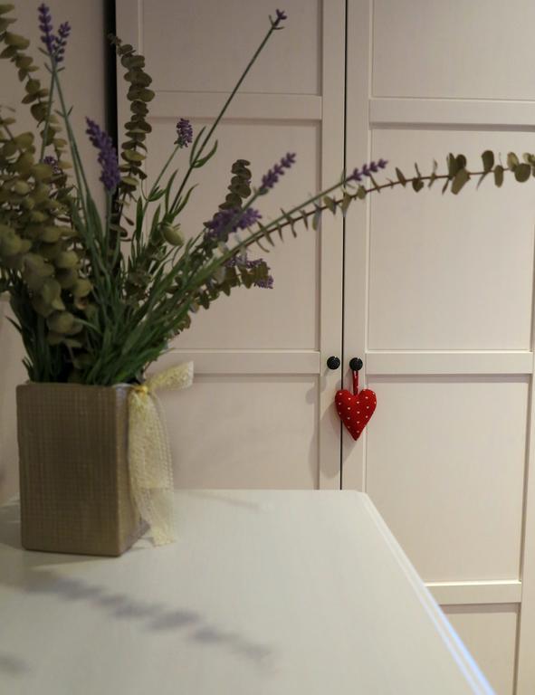 Apartment Sant Francesc 奥洛特 外观 照片